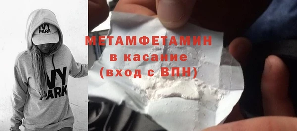 ПСИЛОЦИБИНОВЫЕ ГРИБЫ Богданович