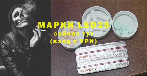 ПСИЛОЦИБИНОВЫЕ ГРИБЫ Богданович