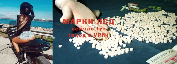 ПСИЛОЦИБИНОВЫЕ ГРИБЫ Богданович