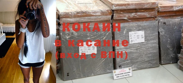 ПСИЛОЦИБИНОВЫЕ ГРИБЫ Богданович