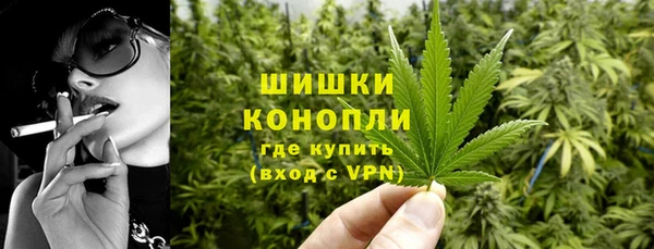 ПСИЛОЦИБИНОВЫЕ ГРИБЫ Богданович