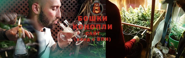 ПСИЛОЦИБИНОВЫЕ ГРИБЫ Богданович