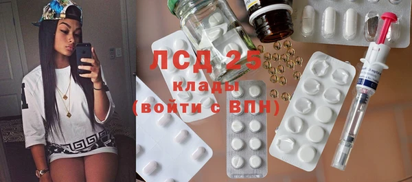 ПСИЛОЦИБИНОВЫЕ ГРИБЫ Богданович