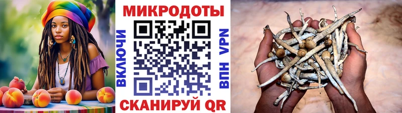 сколько стоит  Черемхово  Псилоцибиновые грибы ЛСД 